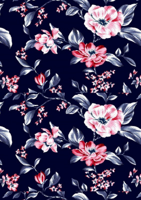 С6